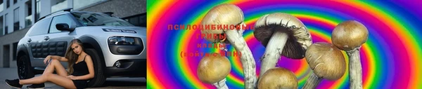 бутират Алзамай