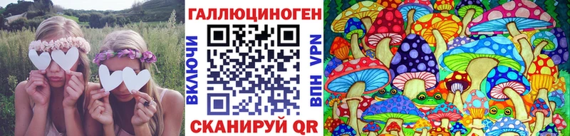 Галлюциногенные грибы Psilocybe Чулым